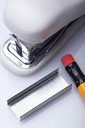 《PUI PUI天竺鼠车车派对》发布电视广告 12月16日上市